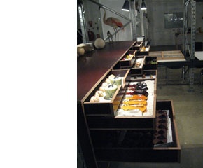 kast02 kast02