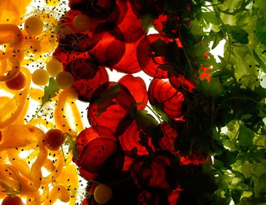 licht2_520 licht2_520