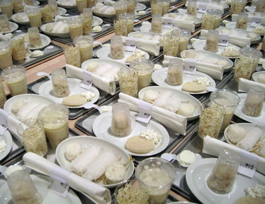 witdiner_520 witdiner_520